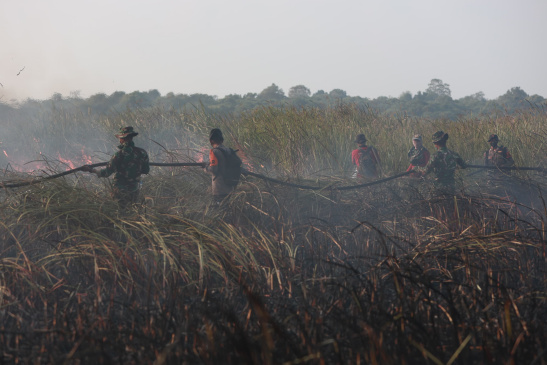 802 Hektare Lahan di TNWK Terbakar, Peralatan Pemadam Jadi Kendala