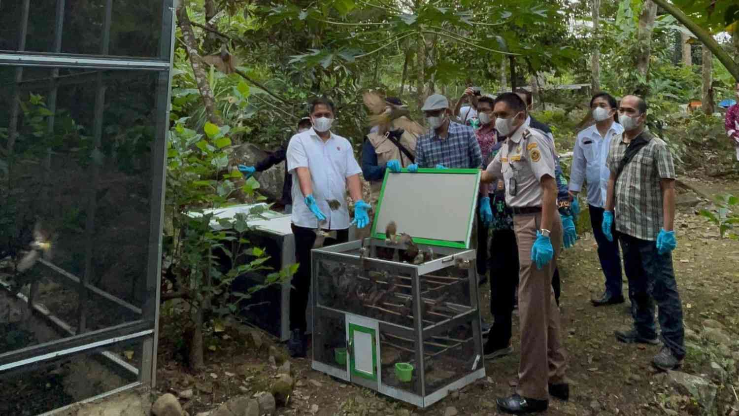 942 Burung Hasil Sitaan Dilepasliarkan di Tahura Wan Abdul Rachman