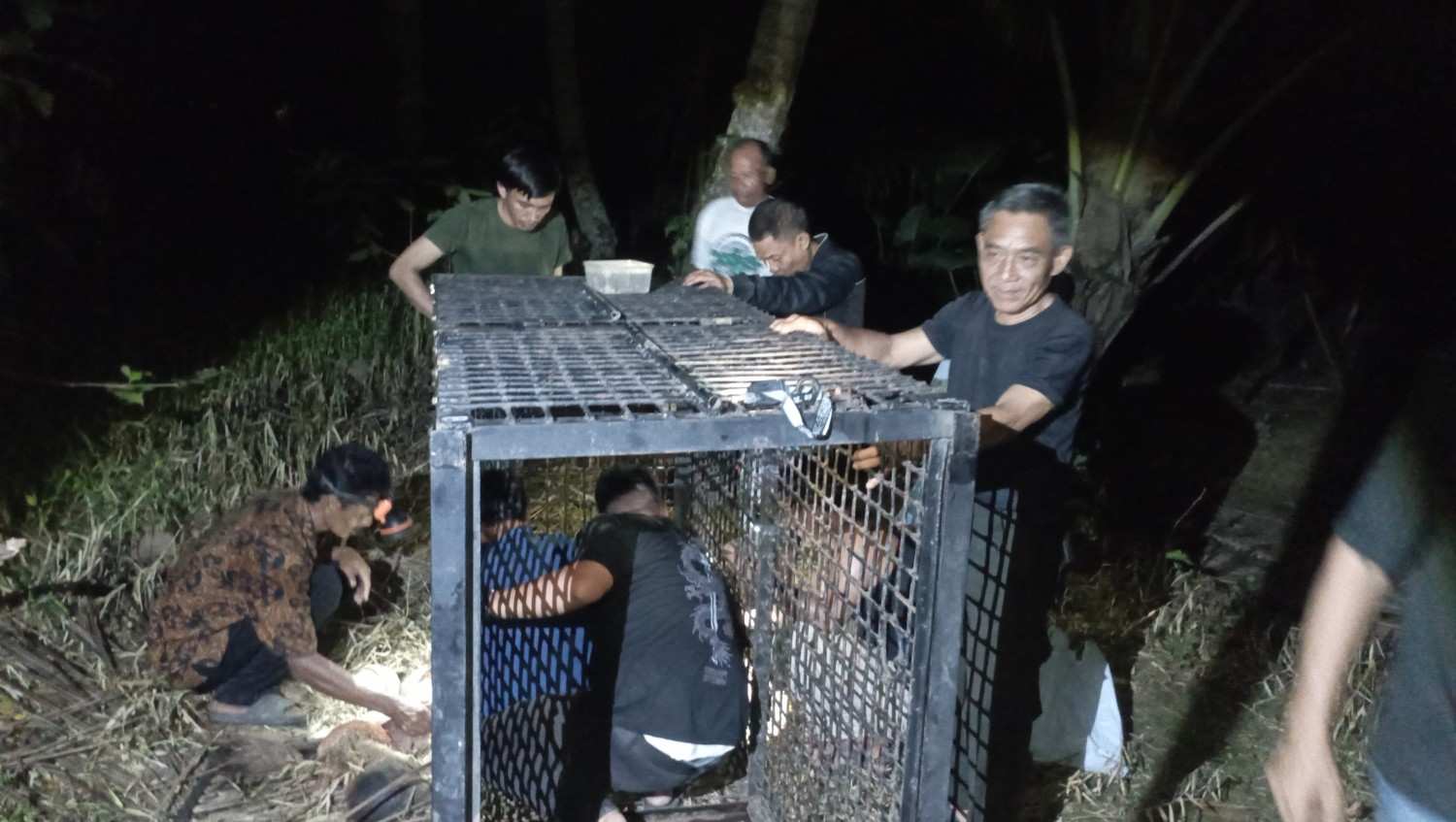 BKSDA Pasang Kandang Jebak, Beruang Madu yang Resahkan Warga Tanggamus Masih Berkeliaran