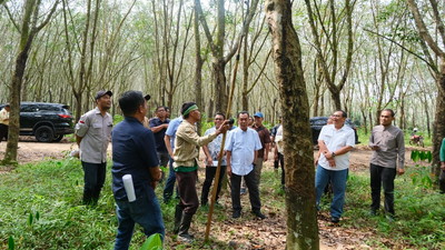 Genjot Produktivitas, PTPN III Bedah Kinerja Empat Kebun Regional 7