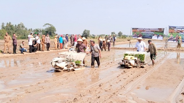 Kejati Lampung  Tanam Padi Serentak di Metro