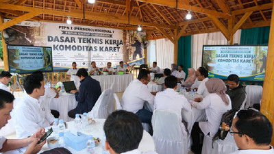 Genjot Produktivitas Karet, PTPN I Samakan Standar Teknis
