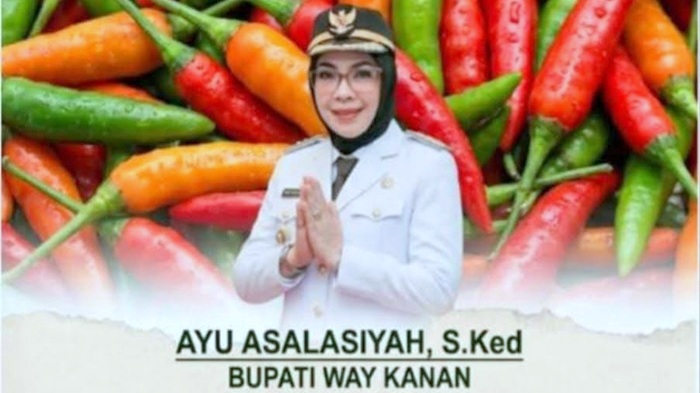 Tekan Inflasi, Bupati Waykanan Luncurkan Gerakan Tanam Cabai
