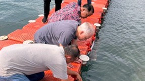 Bersama TSU Rusia, UIN RIL Uji Coba Teknologi Antifouling Nanomaterial di Pantai Tiska