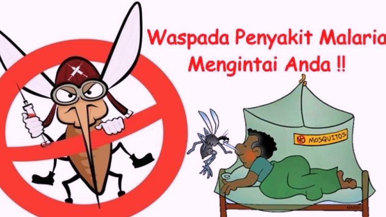 Pesawaran Dikepung Malaria! Kuartal I 2026 Tercatat 1.010 Kasus