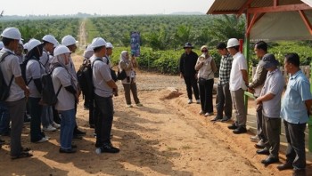 Pacu SDM Digital Perkebunan, PTPN IV Latih Aparatur Disbun Waykanan