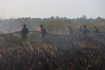802 Hektare Lahan Di TNWK Terbakar, Peralatan Pemadam Jadi Kendala