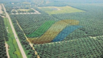 PTPN III Bidik Pendapatan Rp73,6 Triliun, Naik 40 Persen